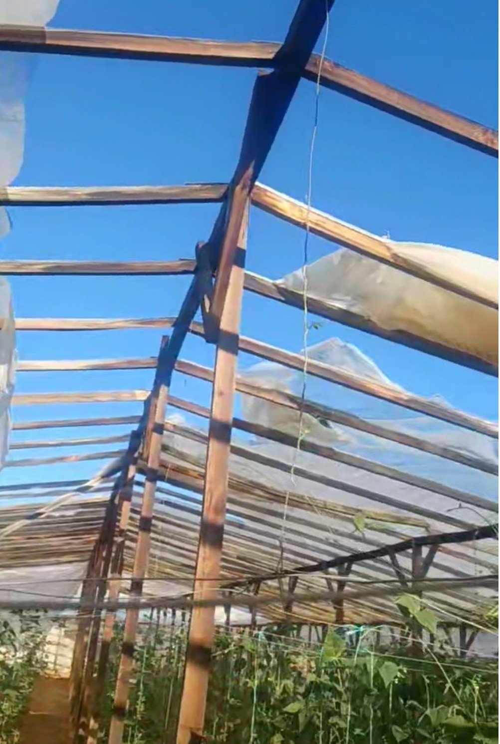 ΣΕ ΑΠΟΓΝΩΣΗ ΟΙ ΑΓΡΟΤΕΣ ΤΟΥ ΑΓΓΕΛΟΧΩΡΙΟΥ