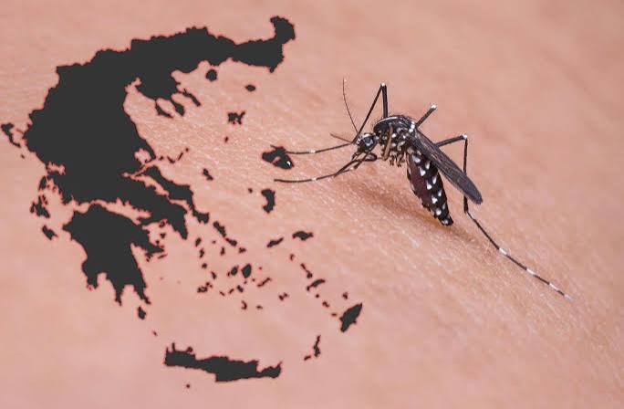 Ιός του Δυτικού Νείλου: 110 κρούσματα και 9 θάνατοι