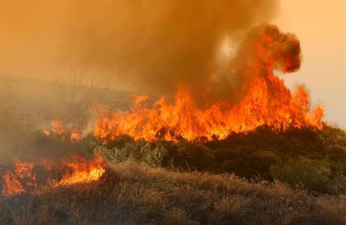 Η ΧΑΛΚΙΔΙΚΗ ΣΤΙΣ ΦΛΟΓΕΣ