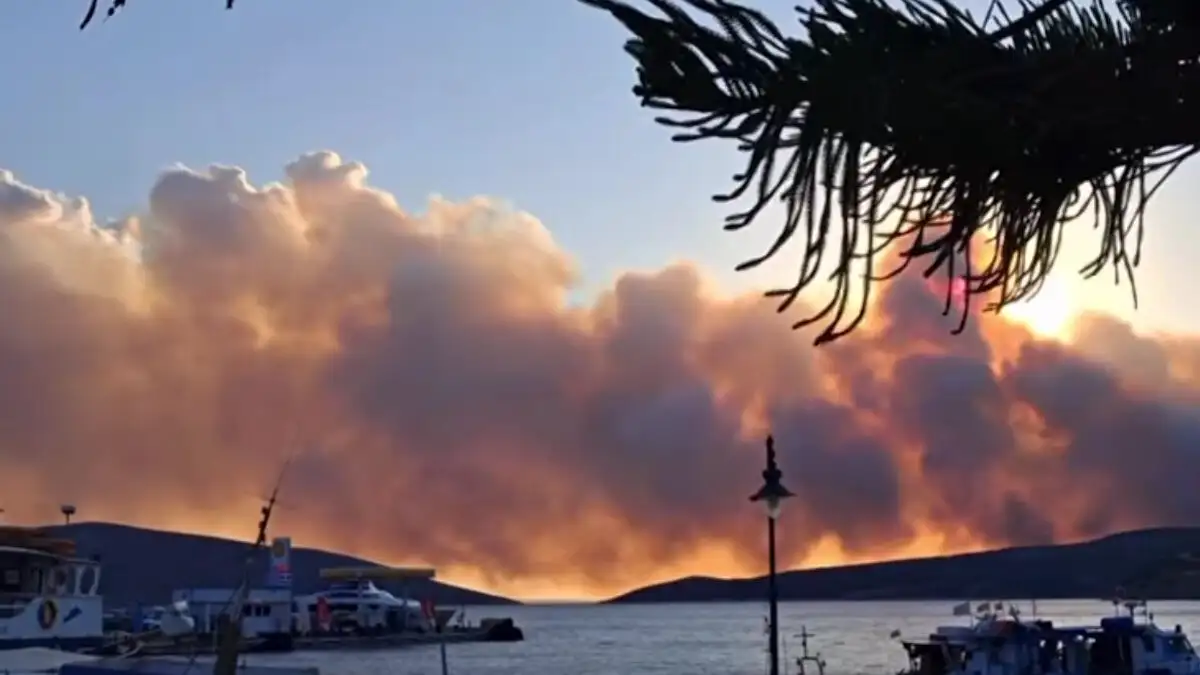 ΣΚΥΡΟΣ ΣΕ ΠΥΡΙΝΟ ΚΛΟΙΟ ΚΑΙ ΜΑΝΗ ΣΤΟ ΕΛΕΟΣ ΤΗΣ ΚΑΚΟΚΑΙΡΙΑΣ